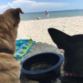 Are tampa and tampa bay the same?